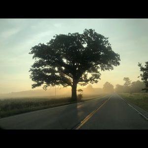 Meet your Posher, Kaila